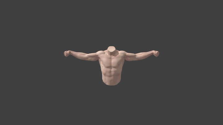 Anatomía - Flexión Brazo Piel 3D Model