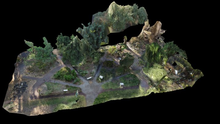 Colección Jardín Ecológico del IBUNAM 3D Model