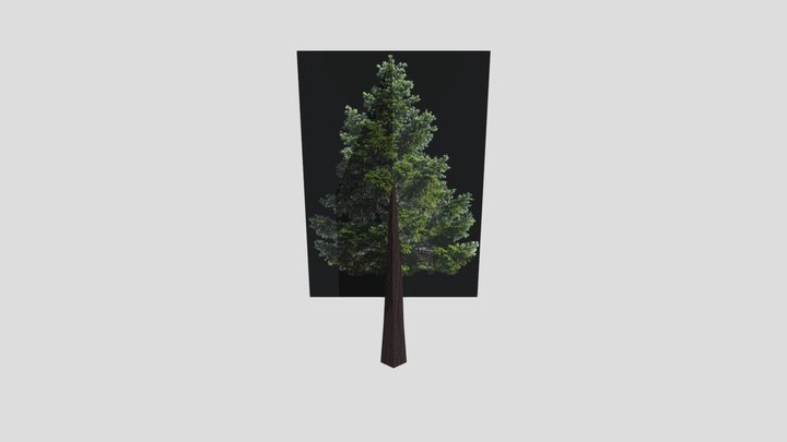 Psx Tree Low Poly (No black Background)
