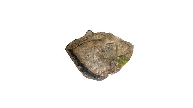 Lohukivi 2617 3D Model