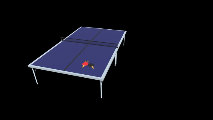 Ping Pong Table