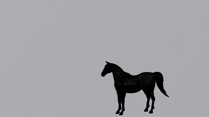Stephaine 3D Model