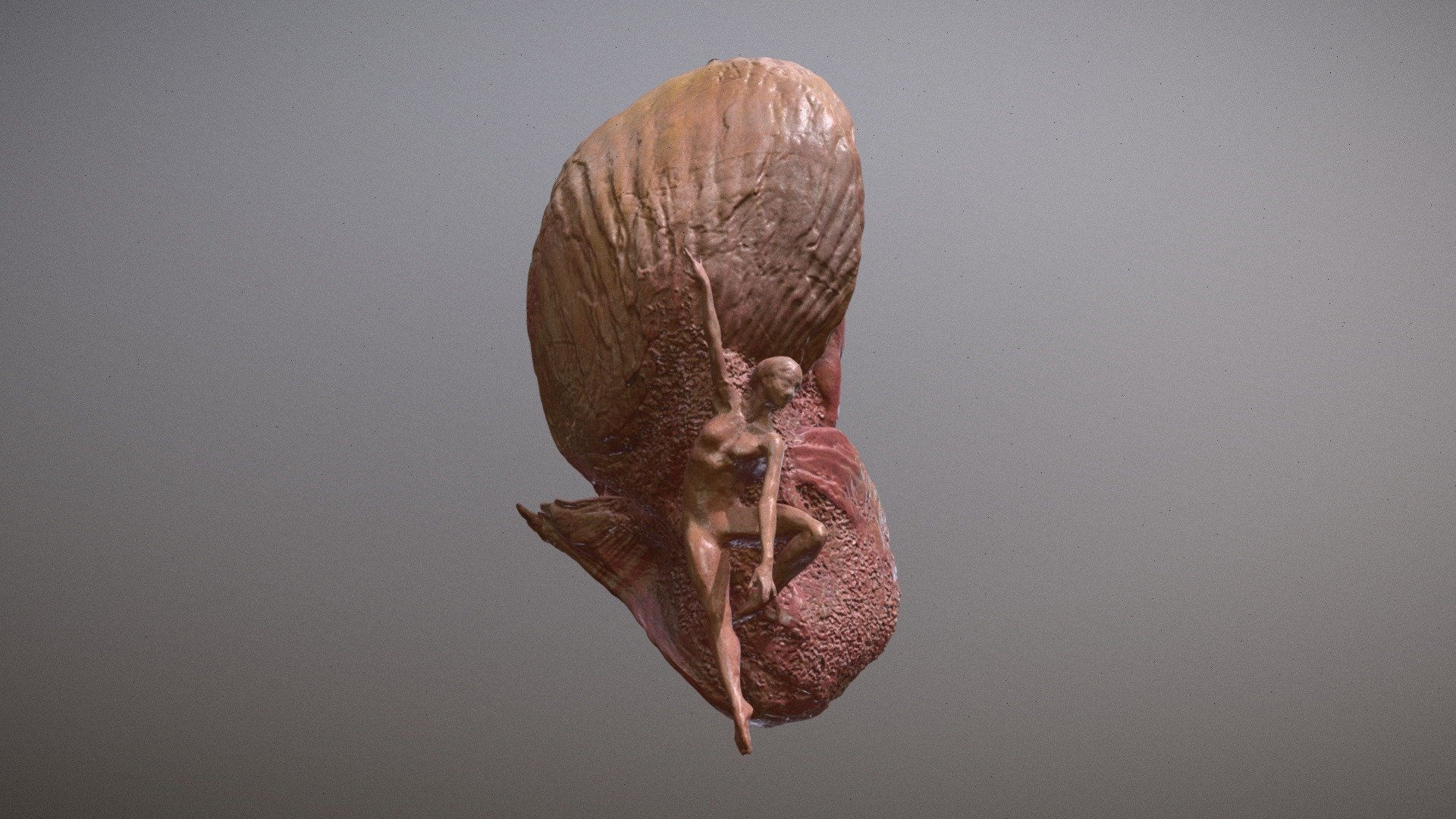 Shelldancer-v2024 - 3D model by bourgoynestudio [7ac9495] - Sketchfab