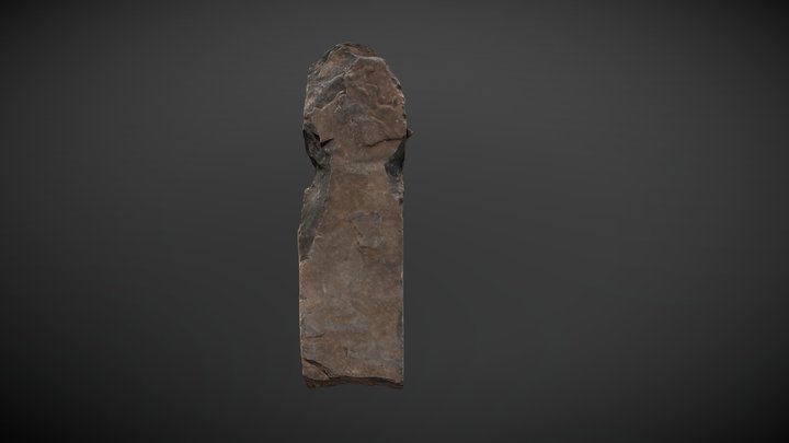 Laja 3D Model