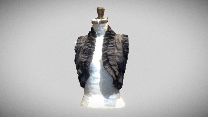 Vest 3D Model