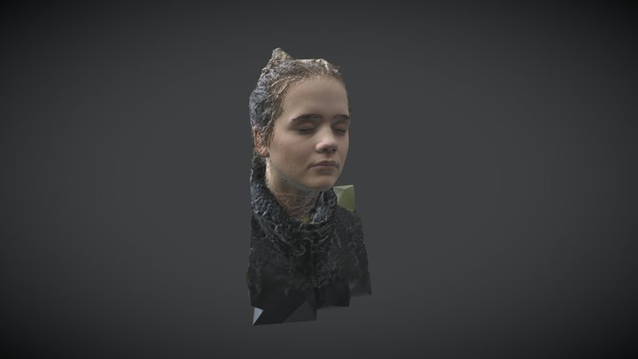 Model 38 3D Model