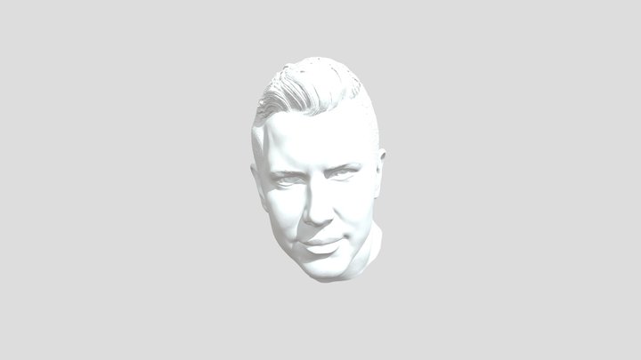 Portrait of a Gray-Haired Man 3D Model