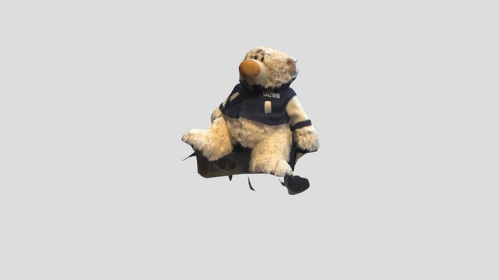 UCSD Bear 3D Model