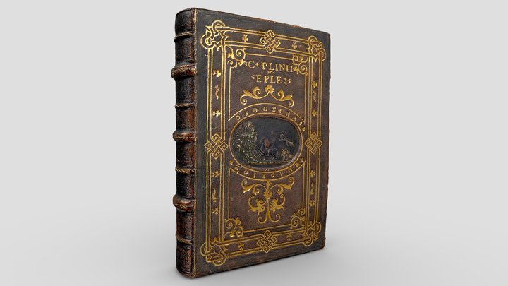 Broxb. 23.3 3D Model