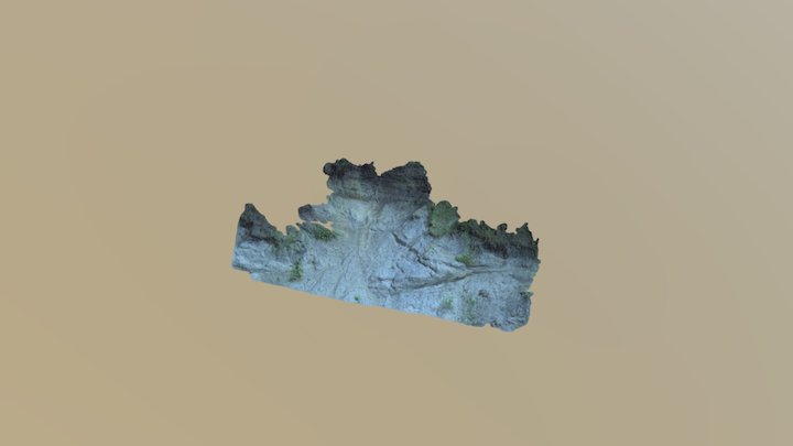 Rock Thing Cleaned Up 3D Model
