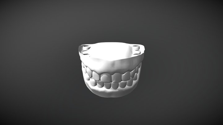 Teeth 3D Model