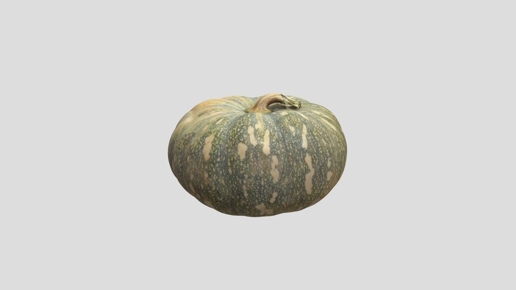 Pumpkin Scan