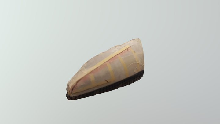 New Qlone 3D Model