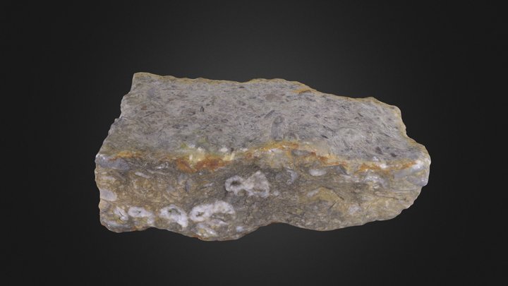Fossiliferious Limestone – Free 3D Model STL