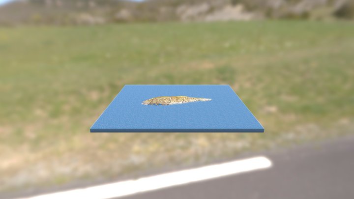 Gull Island export 15 3D Model