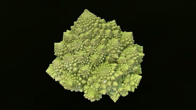 Romanesco broccoli 3D Model