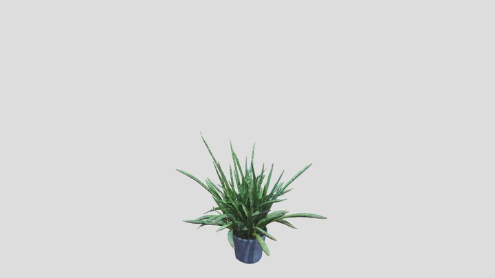 Succulent 3D model 3D Model