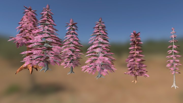 Various Coniferous Trees - Game Assets 3D Model
