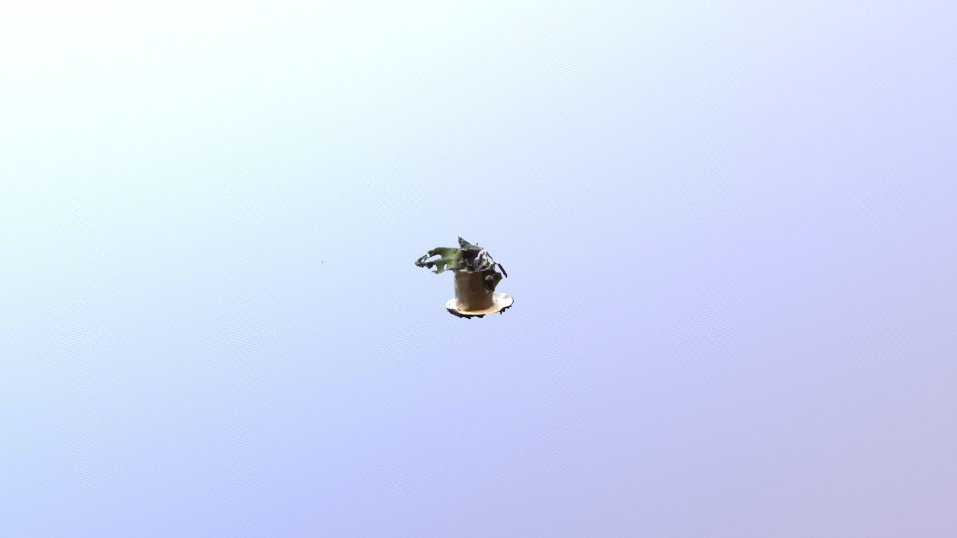 Test1