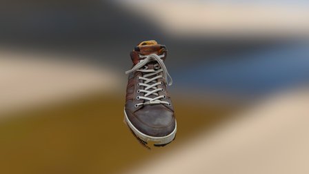 My shoes 3D Model