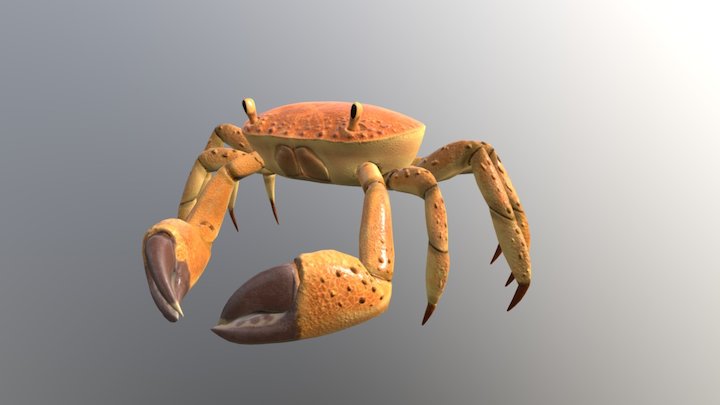Animated Crab 3D Model