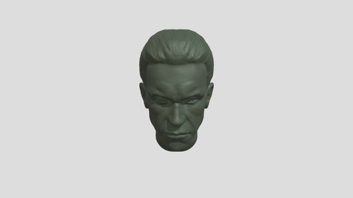 Schwarzenegger, head 3D Model
