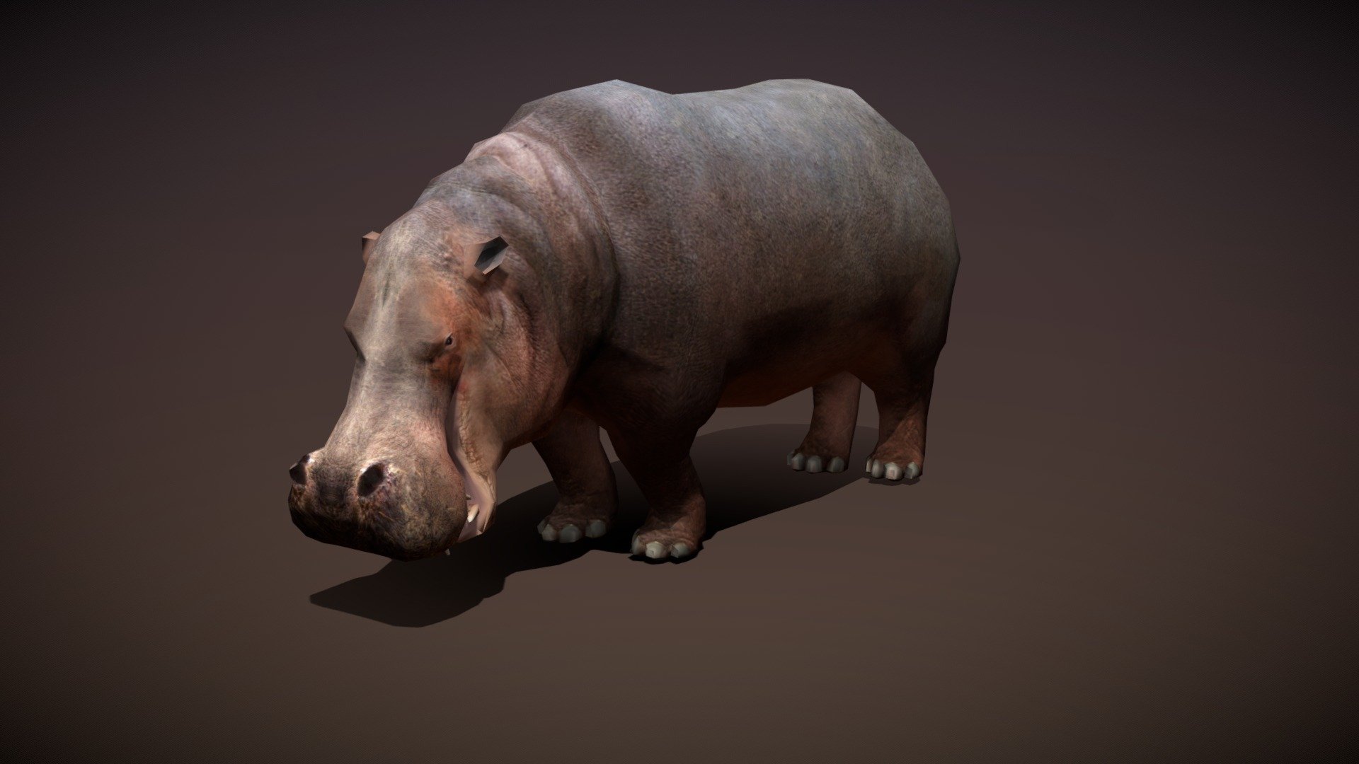 Hippopotamus 3D models - Sketchfab