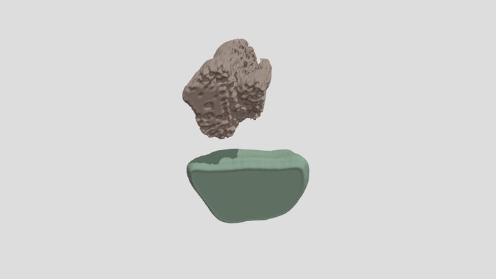 Ultrasound Dataset 3D Model