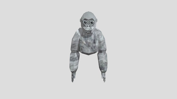 Gtag Basic Monkey 3D Model