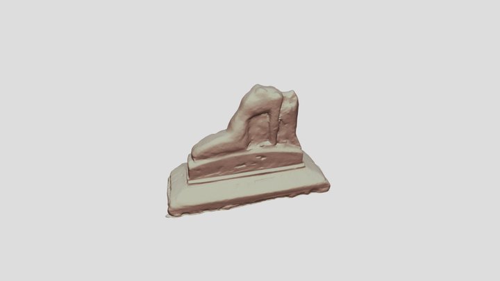 sucharda 3D Model