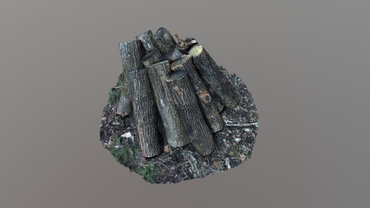 Pile of wood | Photogrammetry 3D Model