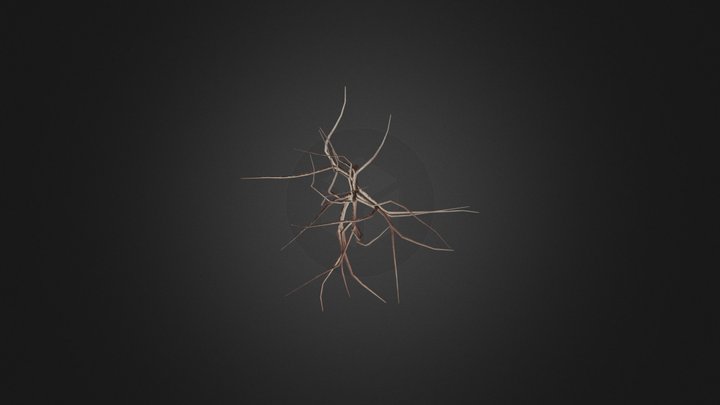 Hook Thorn Trunk 3D Model