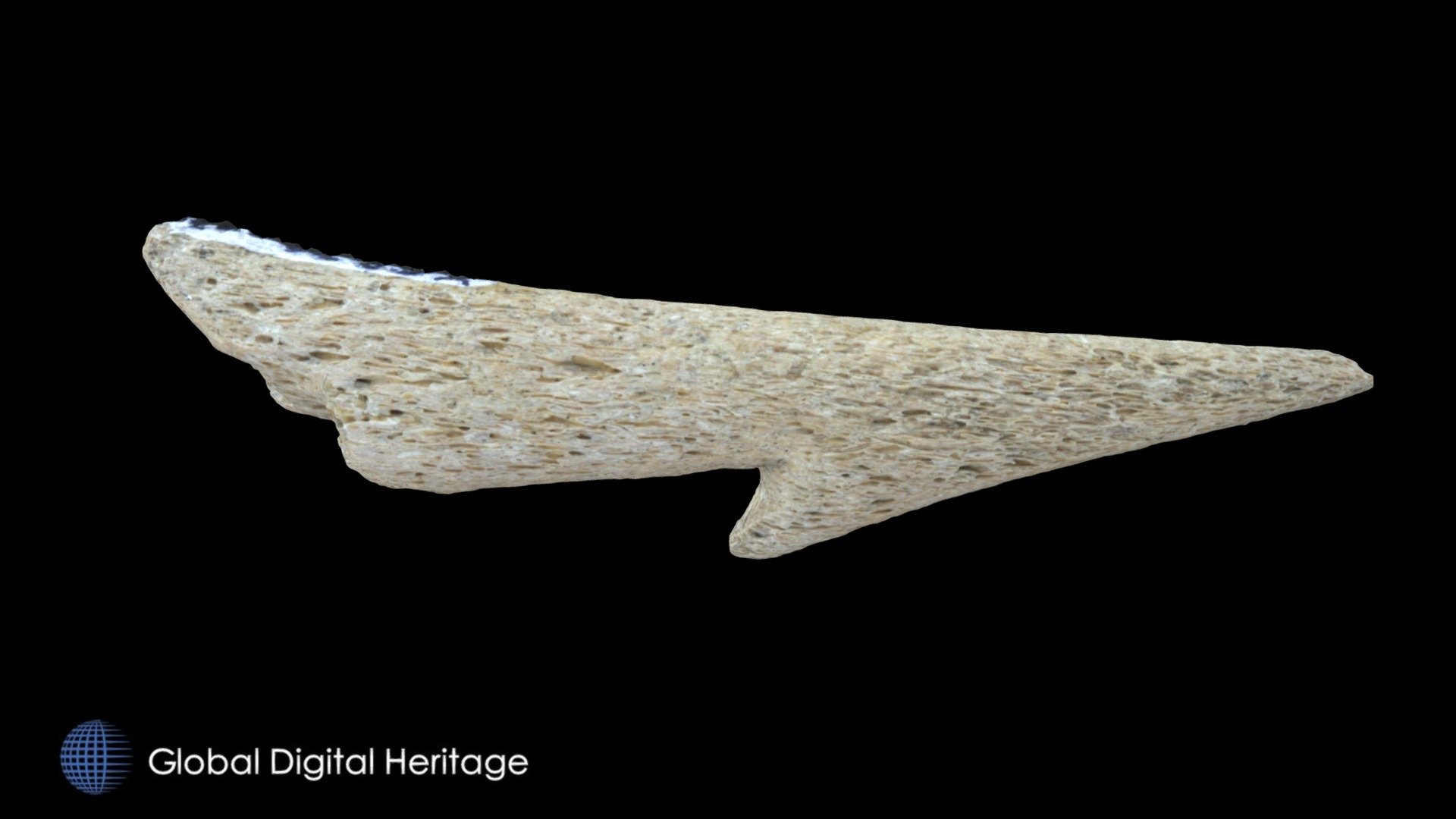XFP-036 Harpoon Fragment, Sanak Island, Alaska
