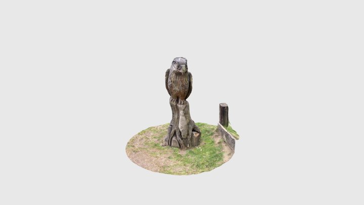 Adler 3D Model