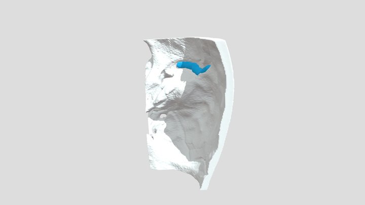 ENT-L01 3D Model