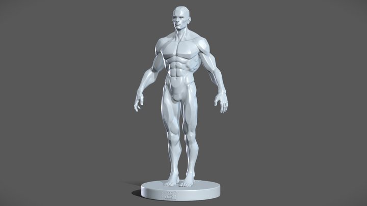 PlaneShapes_MaleFigure 3D Model