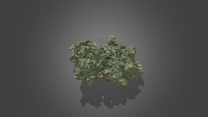Lichen test-2 3D Model