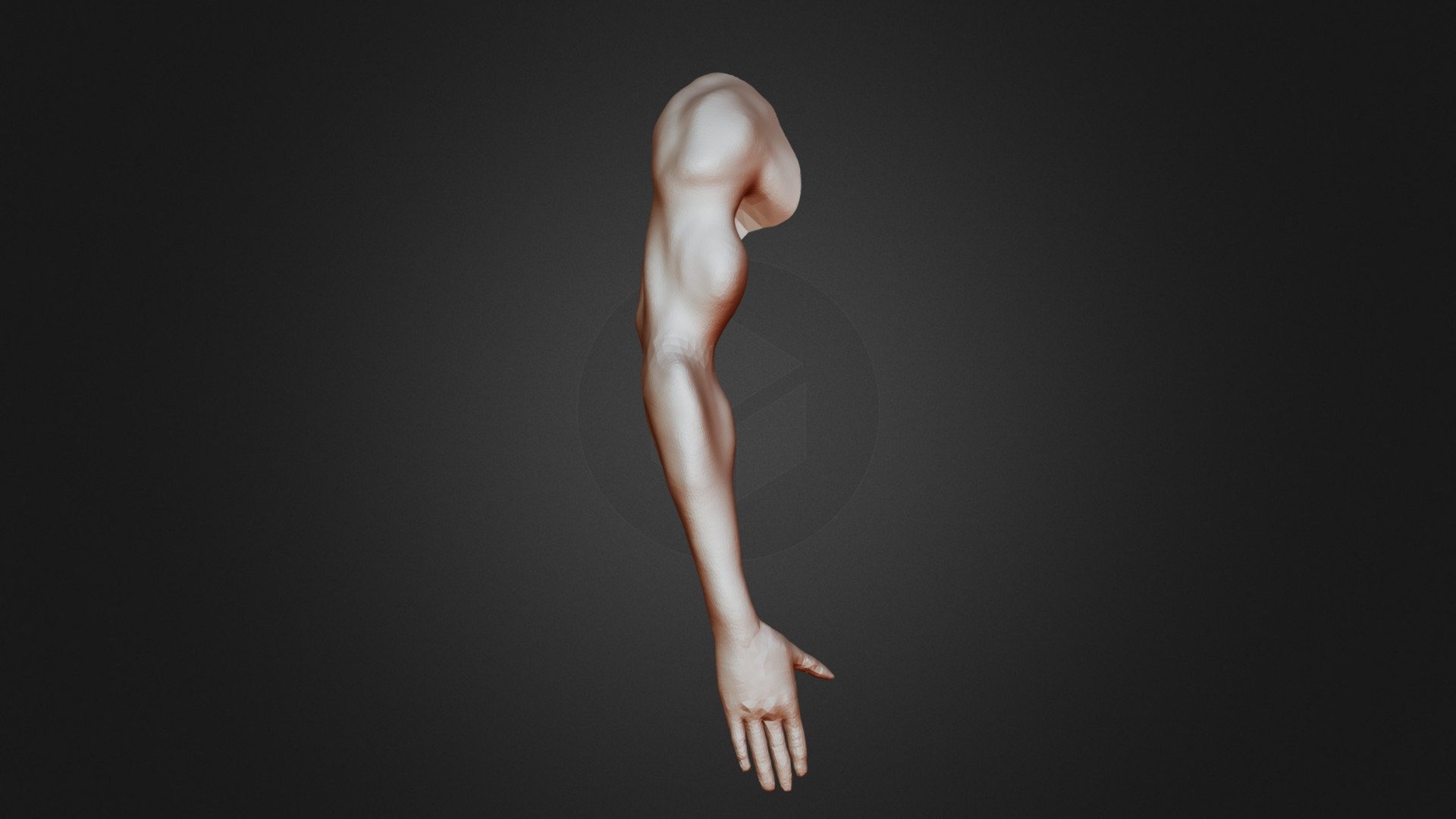 #sculptjanuary18 #Day15 #Limb