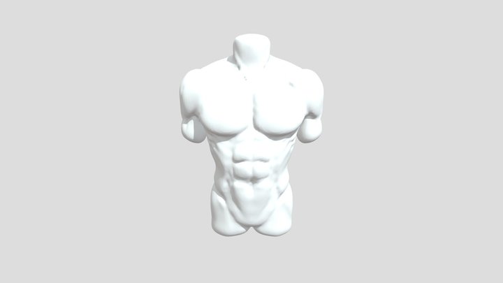 My model 3D Model