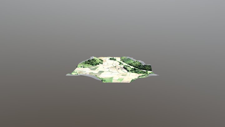 Ambalbe Rice Field 3D Model