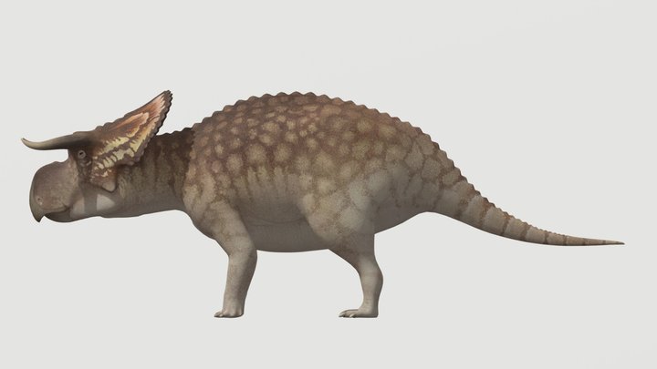 Accurate Nasutoceratops – Free 3D Model STL
