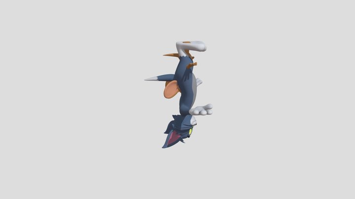 TomAndJerry 3D Model