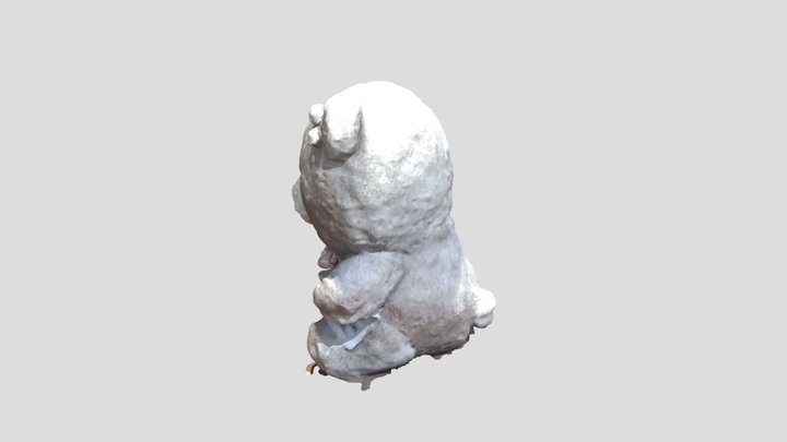 Coki 3D Model