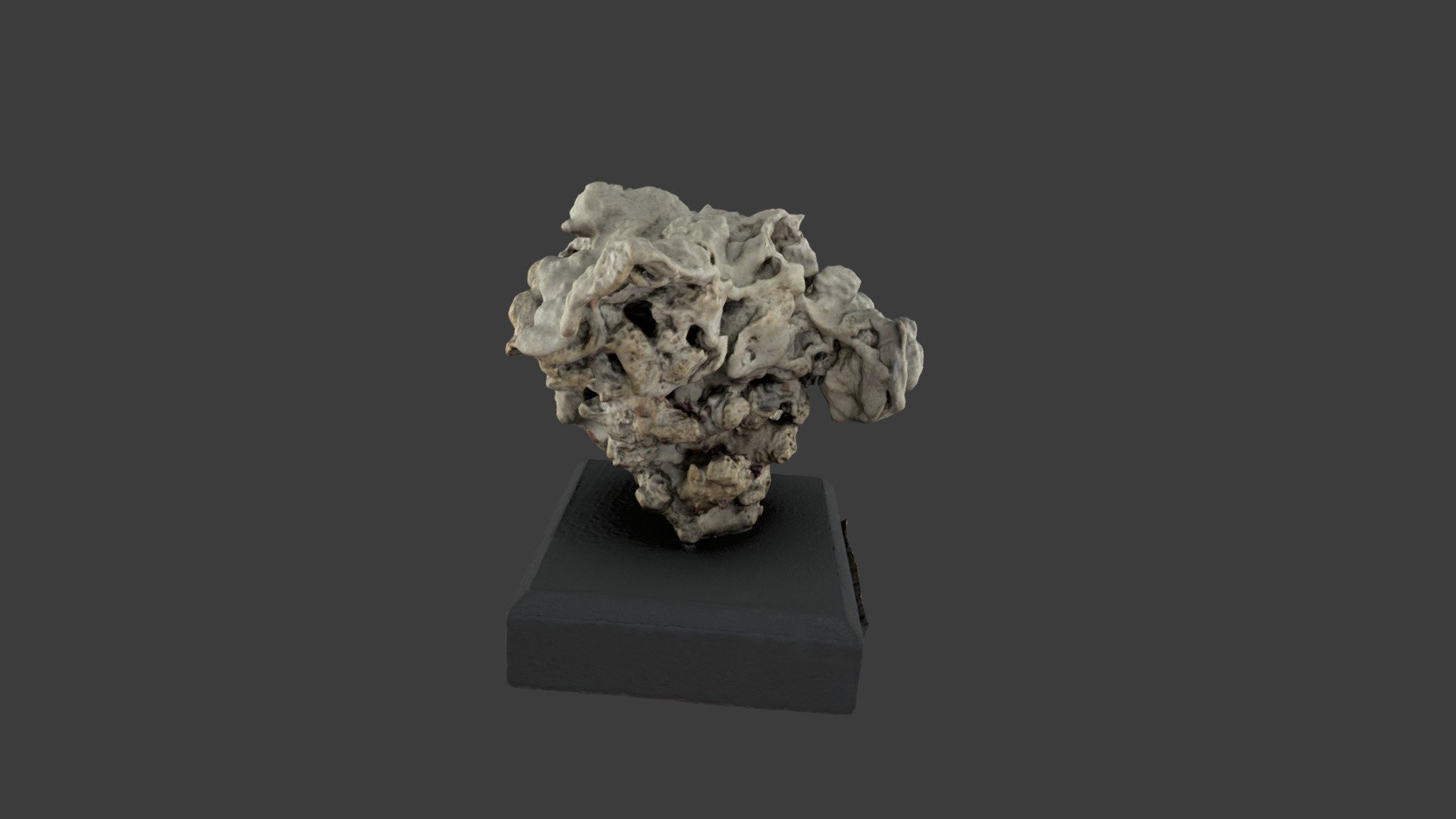 Manopora lichen