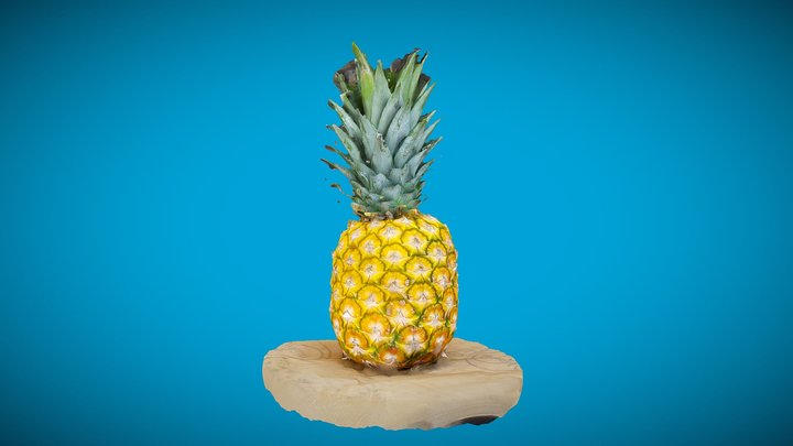 Pine & Apple 3D Model
