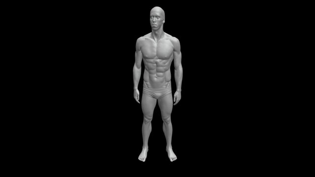 Michael Phelps - Likeness Anatomy Study 3D Model