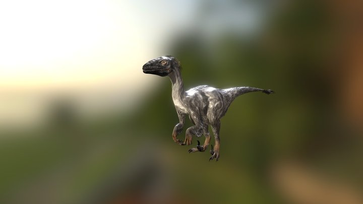 Raptor dinosaur, 154 game animations 3D Model