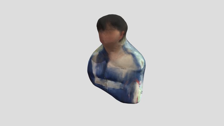 torso 3D Model