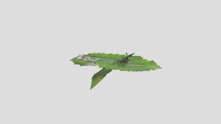 Obergfell_simplified_3d_mesh 3D Model