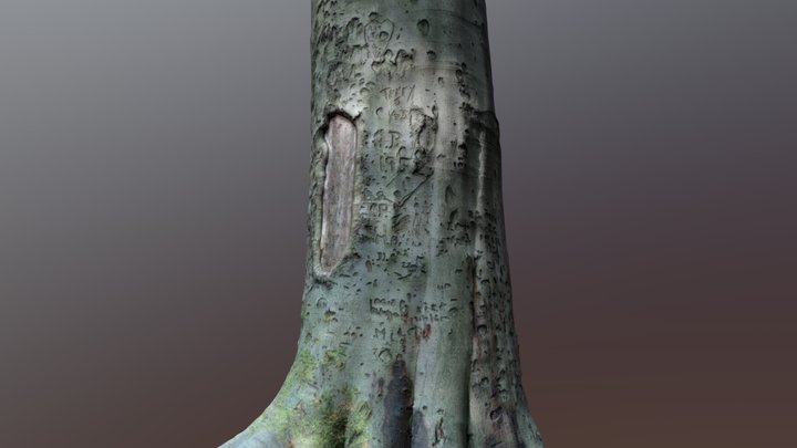 Tree With Graffiti 3D Model